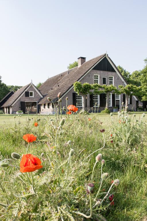 De Rheezer Kamer Hardenberg Exterior photo